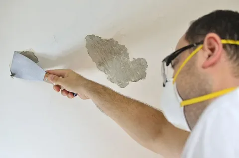 Paint and plaster spot removal